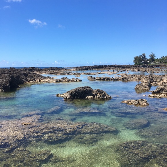 Meet your Posher, Alexis - Picture 1 of 1